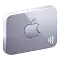 Apple Pay